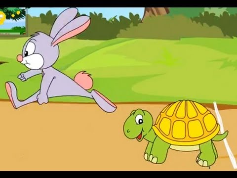 rabbit vs tortoise